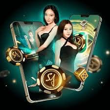 win556