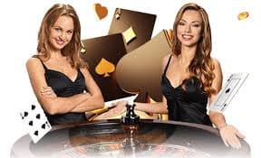 win556
